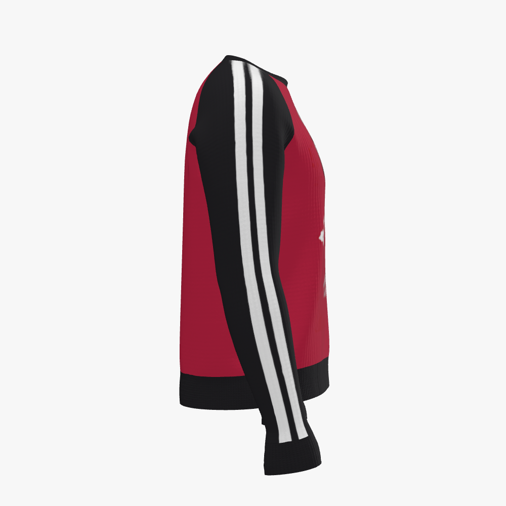 Men's Raglan Long Sleeve Pullover